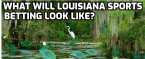 Can I Bet Sports on the FanDuel App From Louisiana Can I Bet Sports on the FanDuel App From Louisiana