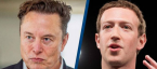 Zuck vs. Musk Cage Fight Odds Zuck vs. Musk Cage Fight Odds