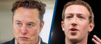 Zuck vs. Musk Cage Fight Odds 