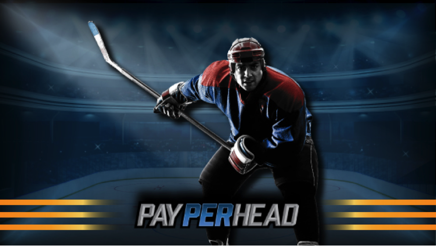 2019 Stanley Cup Matchup Betting Odds & How Sportsbooks Profit