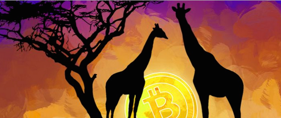 Africa's Young Professionals Embracing 'Gospel of Bitcoin'