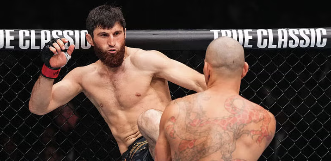 Ankalev vs. Ulberg or Prochazka FIght Odds Are Nearly the Same