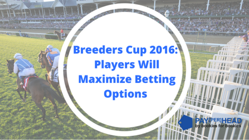 Breeders Cup 2016: Players Will Maximize Betting Options