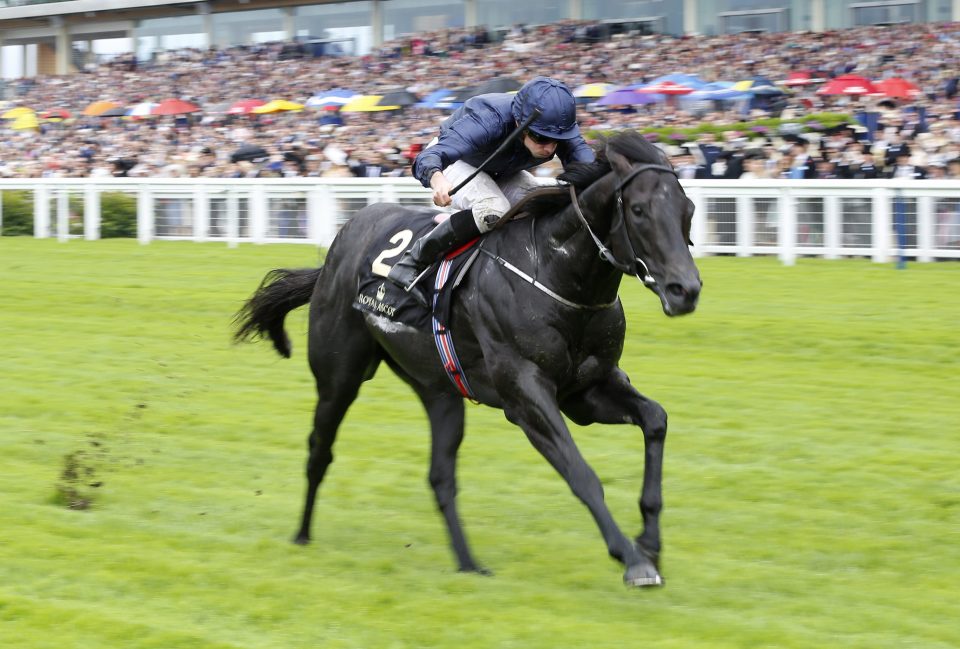 Caravaggio Odds to Win the Commonwealth Cup – Royal Ascot 2017