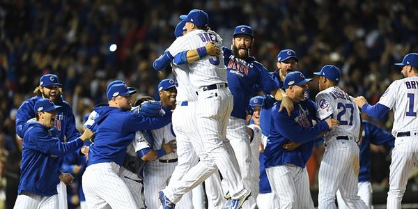 Cubs Fans Keep Vegas Bet Slips Instead of Cashing Out