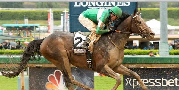 Why Bet Exaggerator to Win the 2016 Preakness? Rain in Forecast  