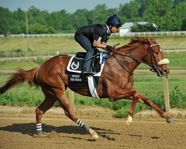 What Will the Payout Be on Finnick The Fierce to Win the Kentucky Derby?