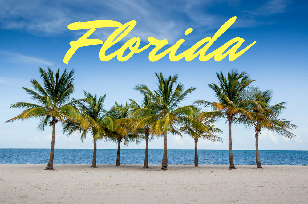 Can I Play on Monkey Knife Fight From Florida? 