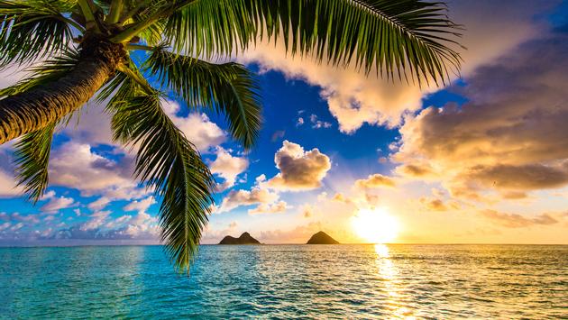 Where Can I Watch, Bet the Mike Tyson Vs. Jones Jr. Fight From Honolulu