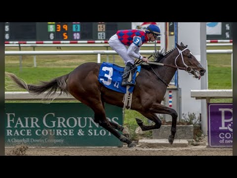 Hofburg Odds to WIn the 2018 Kentucky Derby - 16-1 Overnight