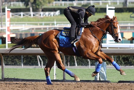 2018 Kentucky Derby Early Contenders