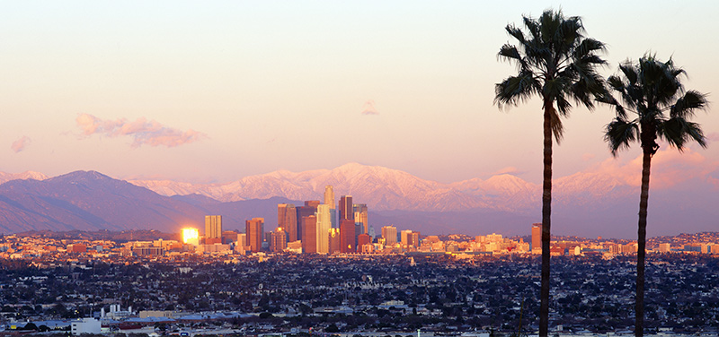 Own an Online Sportsbook in the LA Area