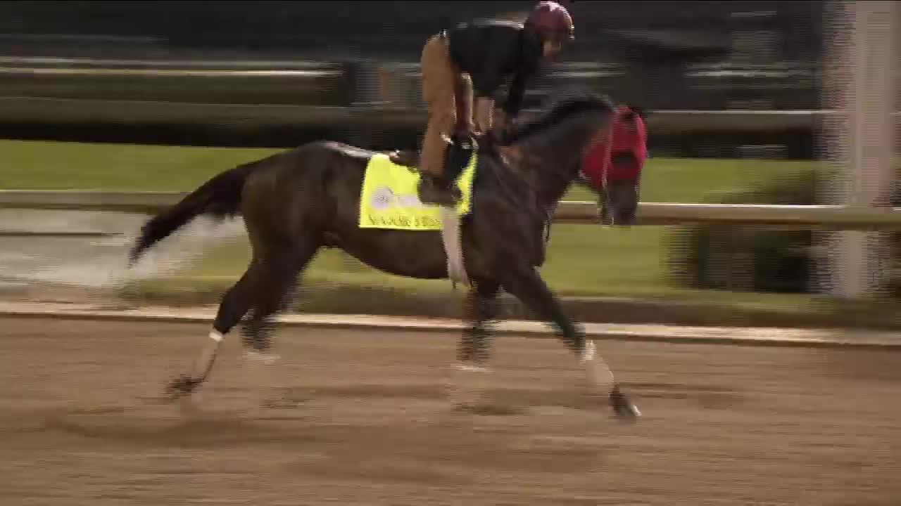 What Will the Payout Be on Major Fed to Win the Kentucky Derby?