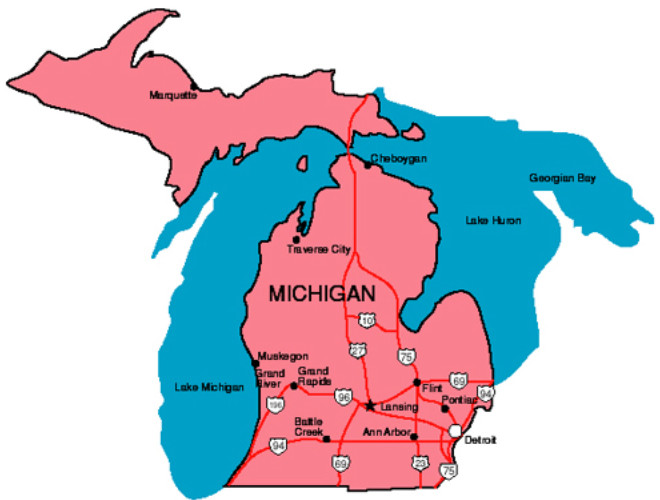 Bookie Profit Index - Michigan