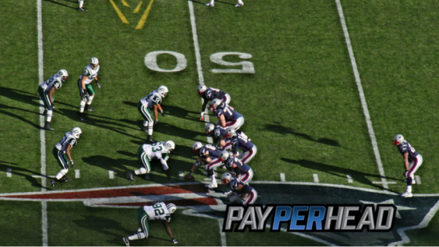 NFL Playoff Pictures for Pay Per Head Sportsbooks