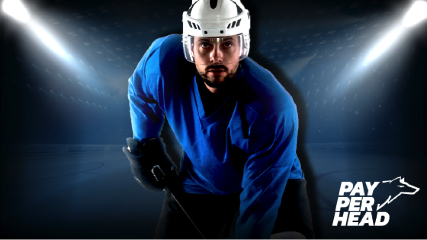 NHL Stanley Cup Playoff Odds & Preview For Your Sportsbook