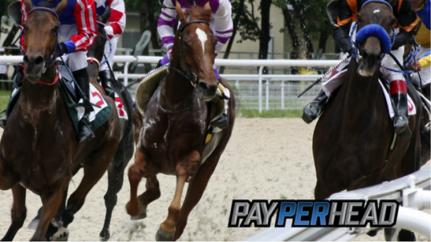 Online Bookies Use These 5 Belmont Stakes Betting Trends 