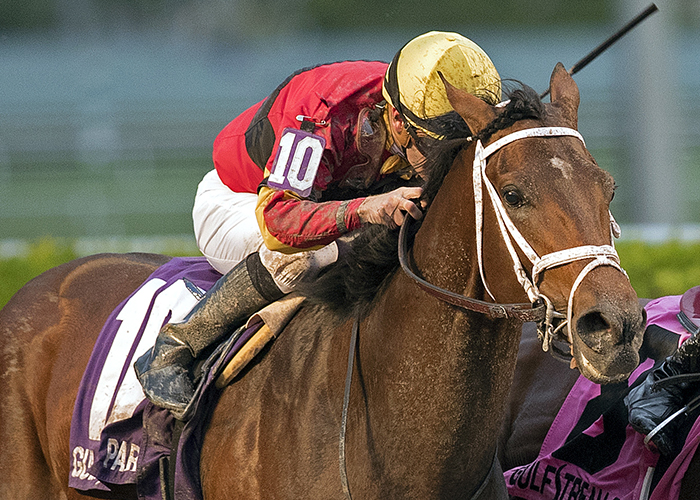 What Will the Payout Be if State of Honor Wins the 2017 Kentucky Derby?