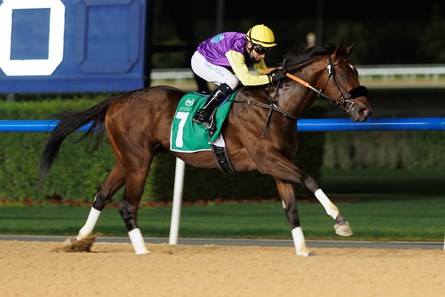 What Are the Payout Odds for Summer Is Tomorrow to Win the Kentucky Derby?  