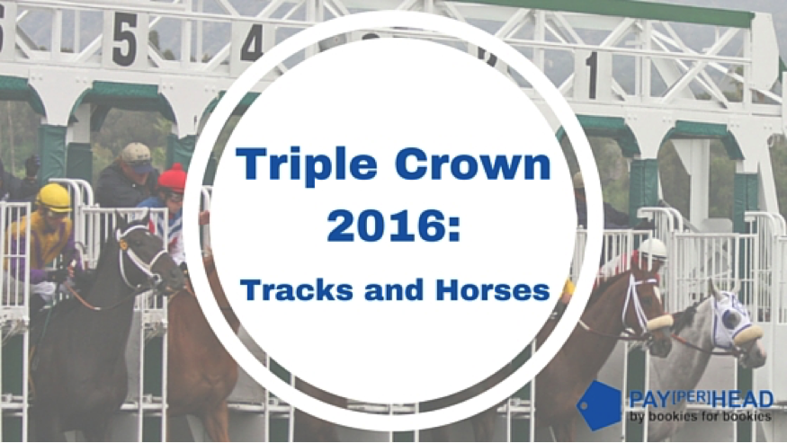 Triple Crown 2016: The Tracks and The Horses