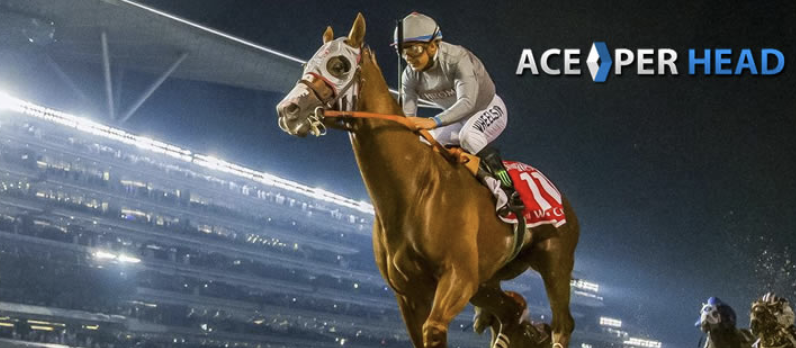 AcePerHead horse racing