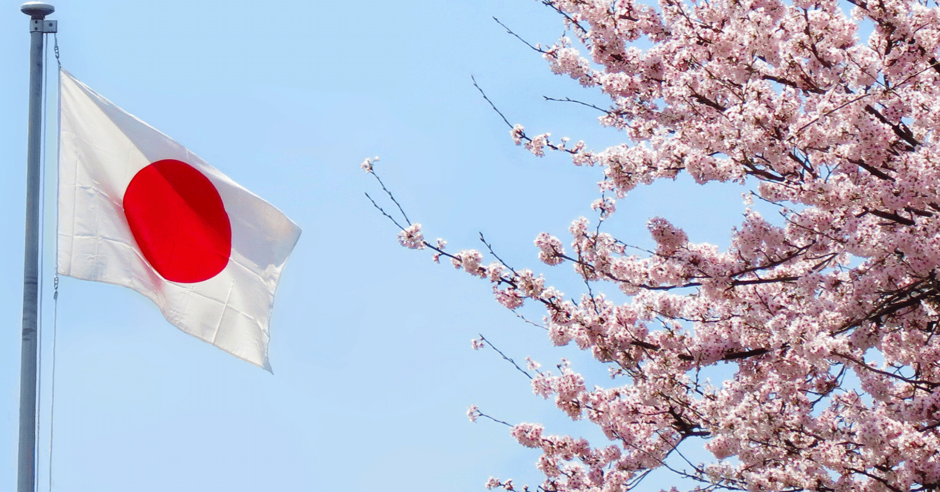 Inside Japan's Casino Push: Where the Country's IR Race Stands Heading Into 2027