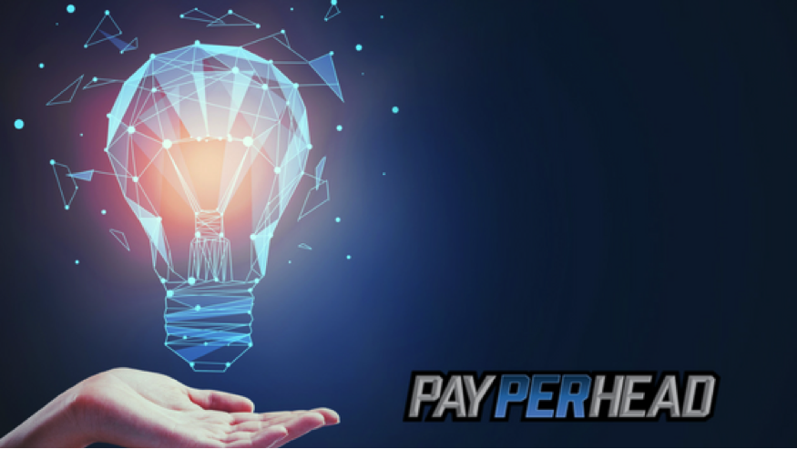 Bookie Knowledge: 5 Risks You Might Face as An Online Bookie Agent