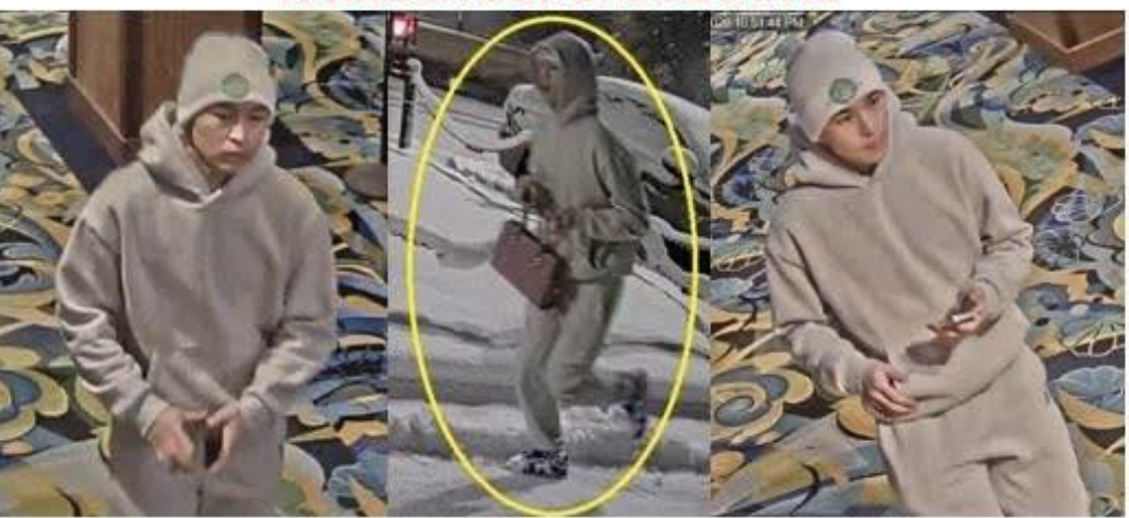 Casino creep robs elderly female 