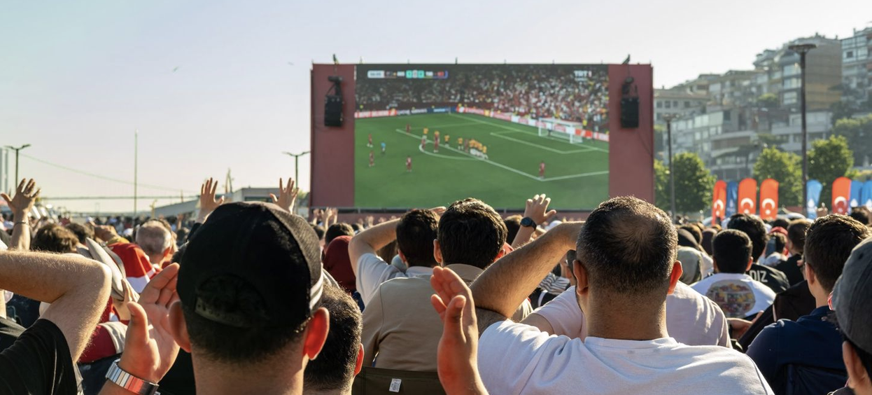 White Label Sportsbook Solutions: Features, Costs and Providers