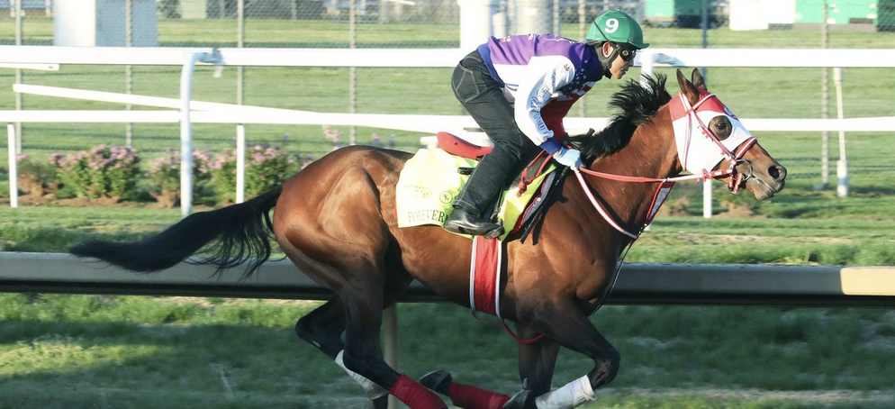 What Are the Payout Odds if Forever Young Wins This Year's Breeders Cup Classic?