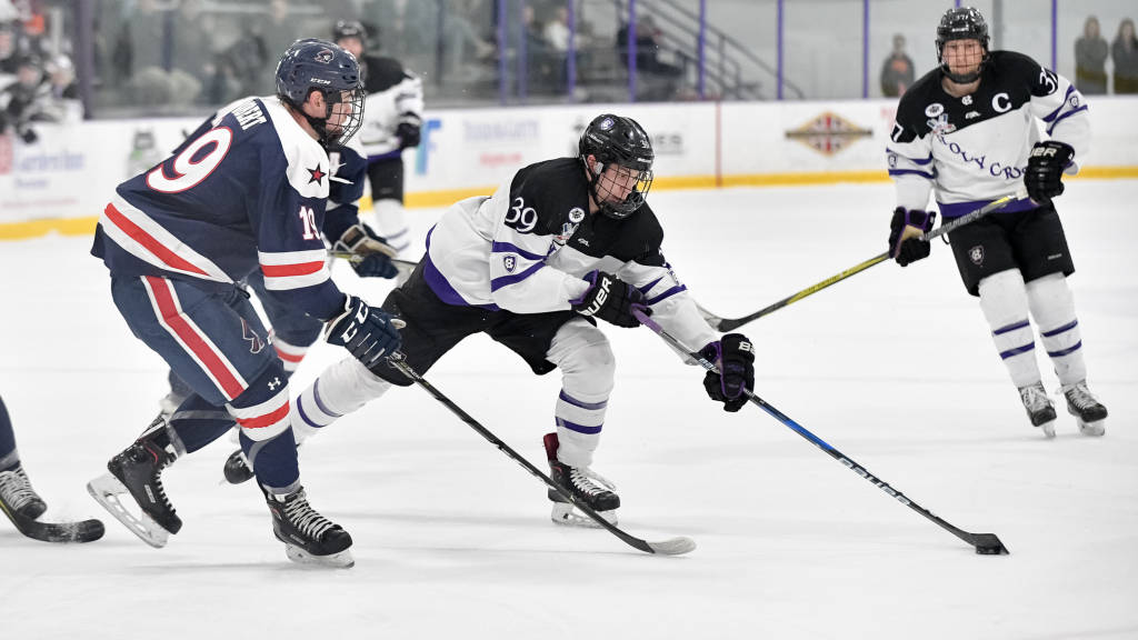 Canadian Teams in the NHL