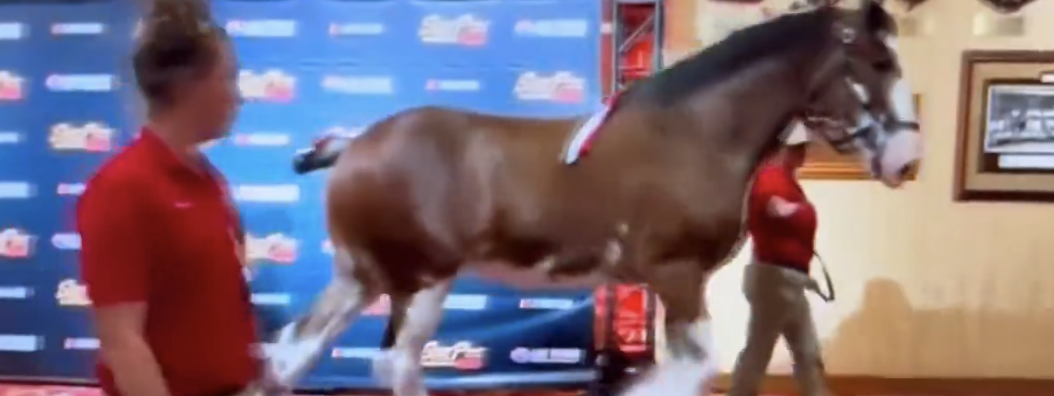 Horse in Southpoint Casino