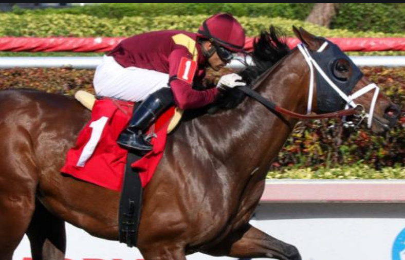 What Will the Payout Be on Money Moves to Win the Kentucky Derby? 