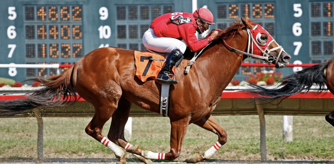 2026 Travers Stakes Payout Odds for Silent Tactic, Leading Change, Ocelli