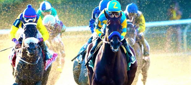 Bet the Charles Town Classic 2019 Online l Latest Odds