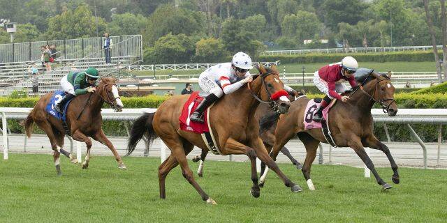 Santa Anita Won't Close Despite 2 Deaths in 2 days
