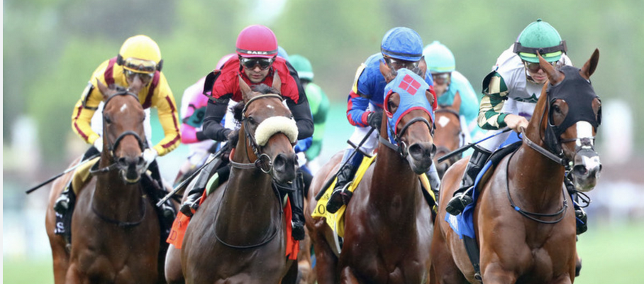 Whitney Stakes Payout Odds 2026: Magnitude, Nitrogen,  Sovereignty, Baeza