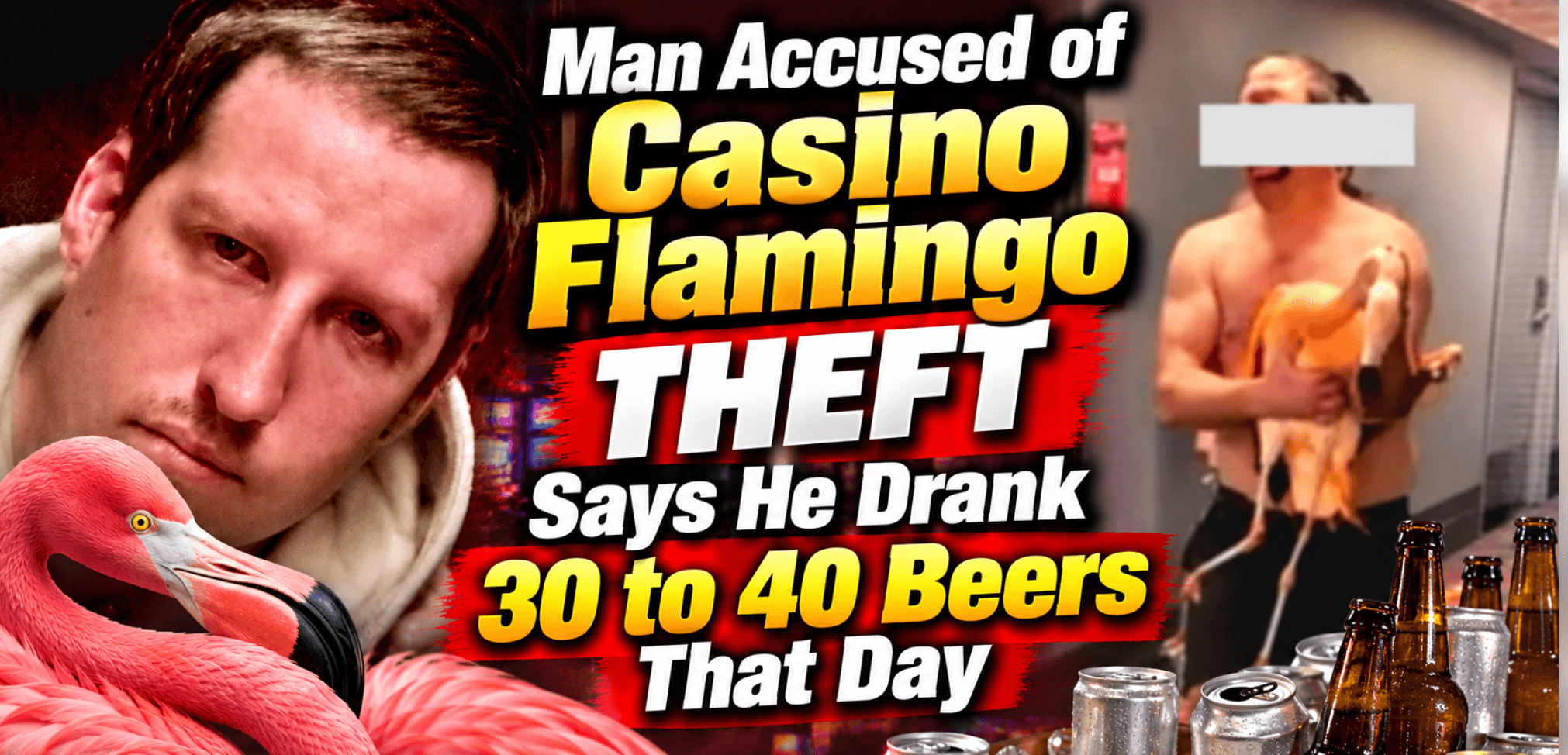  Flamingo Theft Defendant Takes Witness Stand: Says He Drank 30-40 Beers That Day 