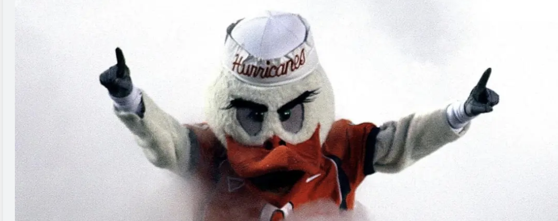 Miami Hurricanes duck mascot