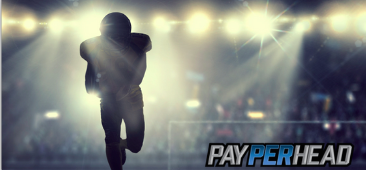 Get The Best Pay Per Head Software For Online Bookie Agents