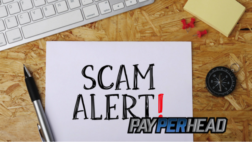 Identifying A Sportsbook Scam VS a Premium Sportsbook Solution