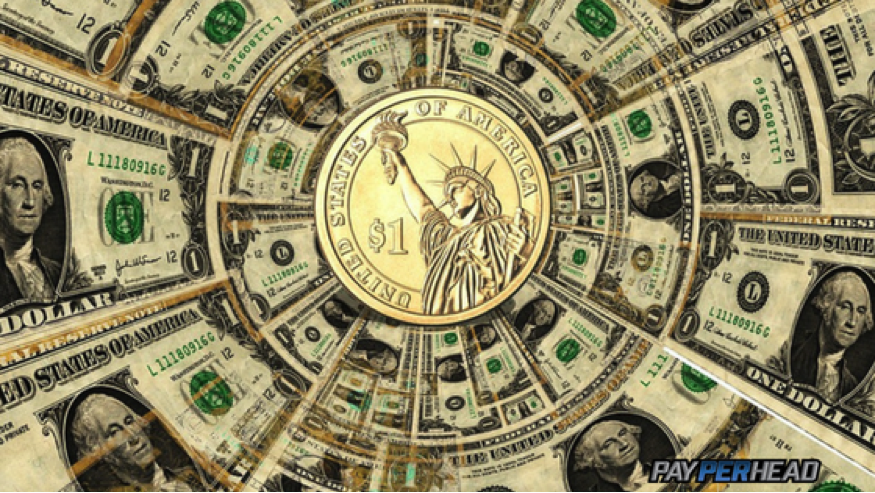 Starting a Pay Per Head Business? Nine Facts You Need-To-Know