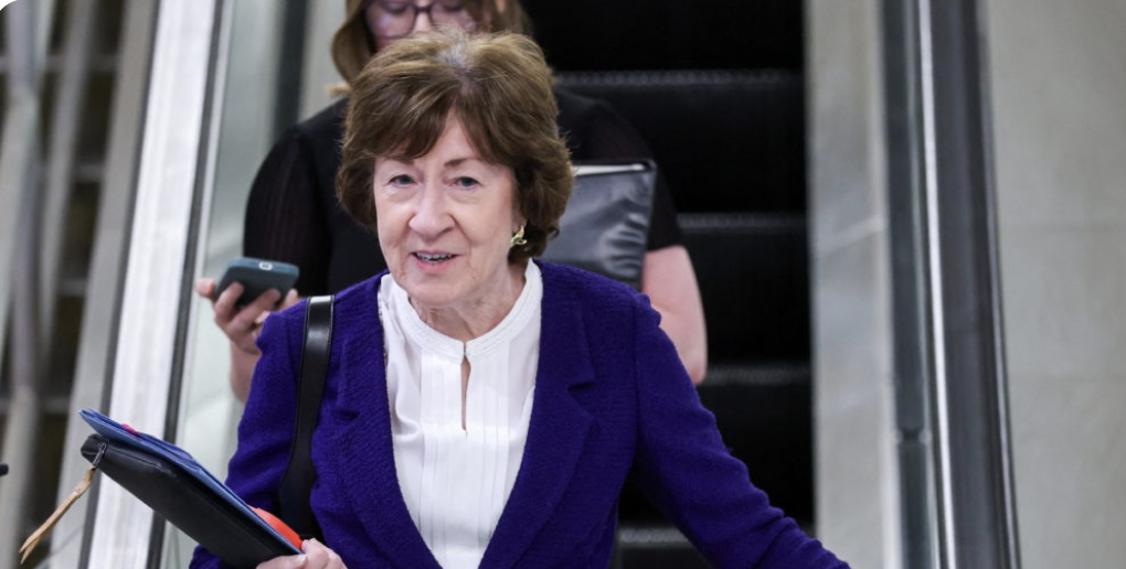 Susan Collins Pays Out $105 to Win Maine Senate: Latest Polls Show Statistical Tie
