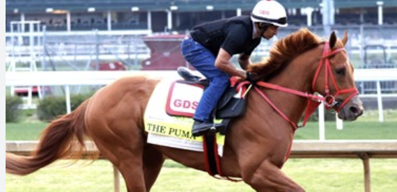 Travers Stakes Payout Odds 2026: Napoleon Solo, The Puma, Baby Vino