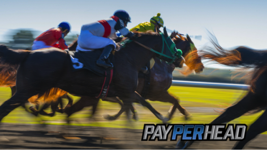 Online Bookie Agents: How To Promote the Triple Crown To Your Bettors