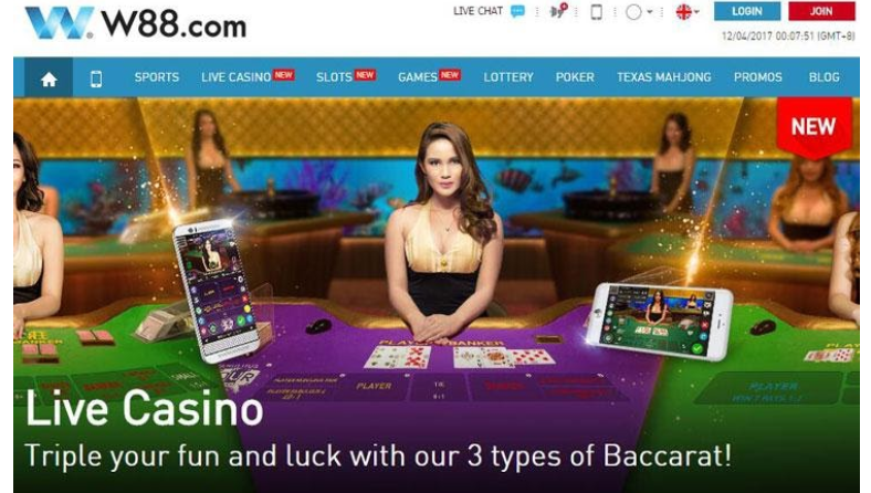 What do you know about the house W88?