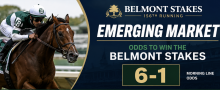  What Are the Payout Odds if Emerging Market Wins the Belmont Stakes?