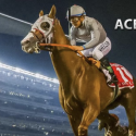 AcePerHead horse racing