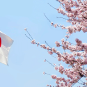 Inside Japan's Casino Push: Where the Country's IR Race Stands Heading Into 2027