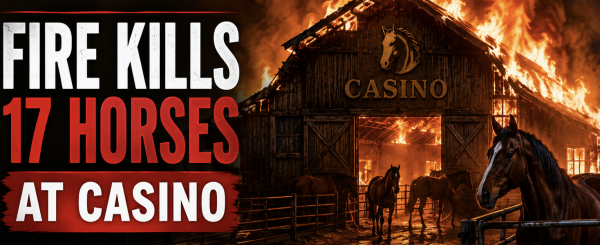 17 Horses Perish in Fire at Saratoga Casino Hotel Harness Track in Saratoga Springs, New York